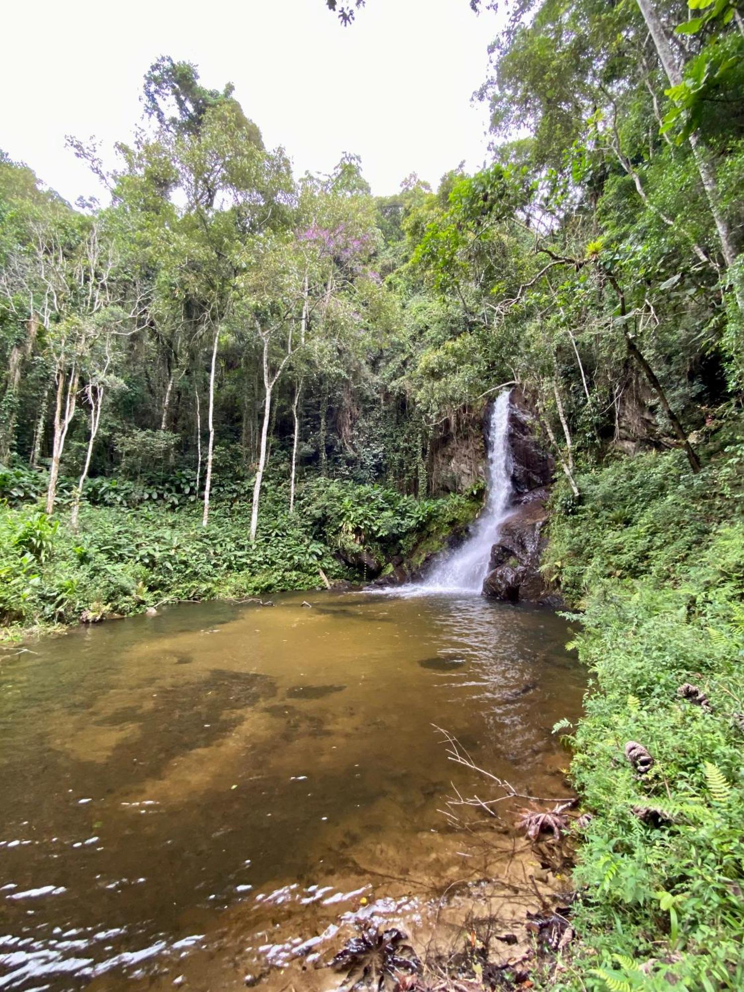 Chales Fazenda Floresta Das Araucarias Cunha Ngoại thất bức ảnh