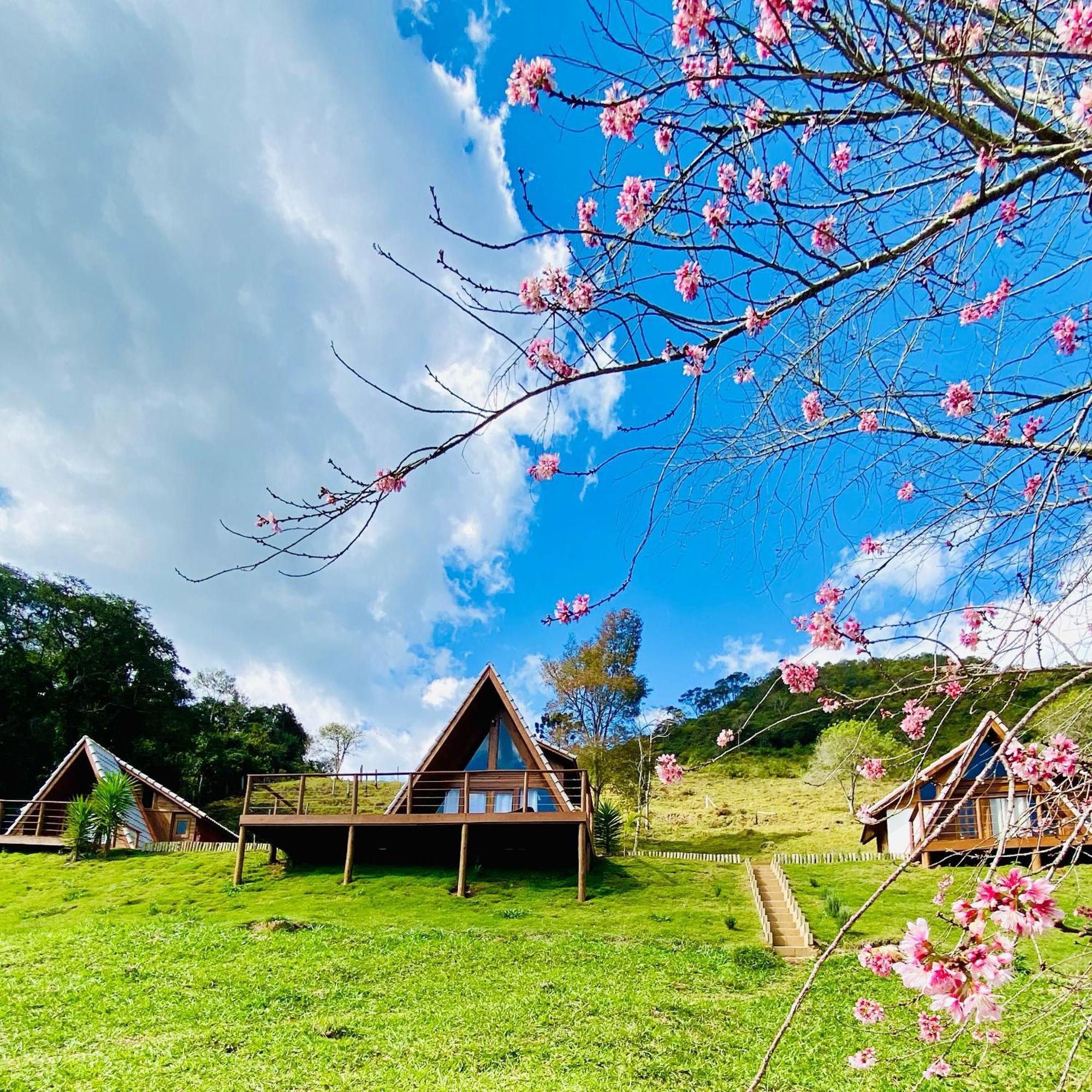 Chales Fazenda Floresta Das Araucarias Cunha Ngoại thất bức ảnh