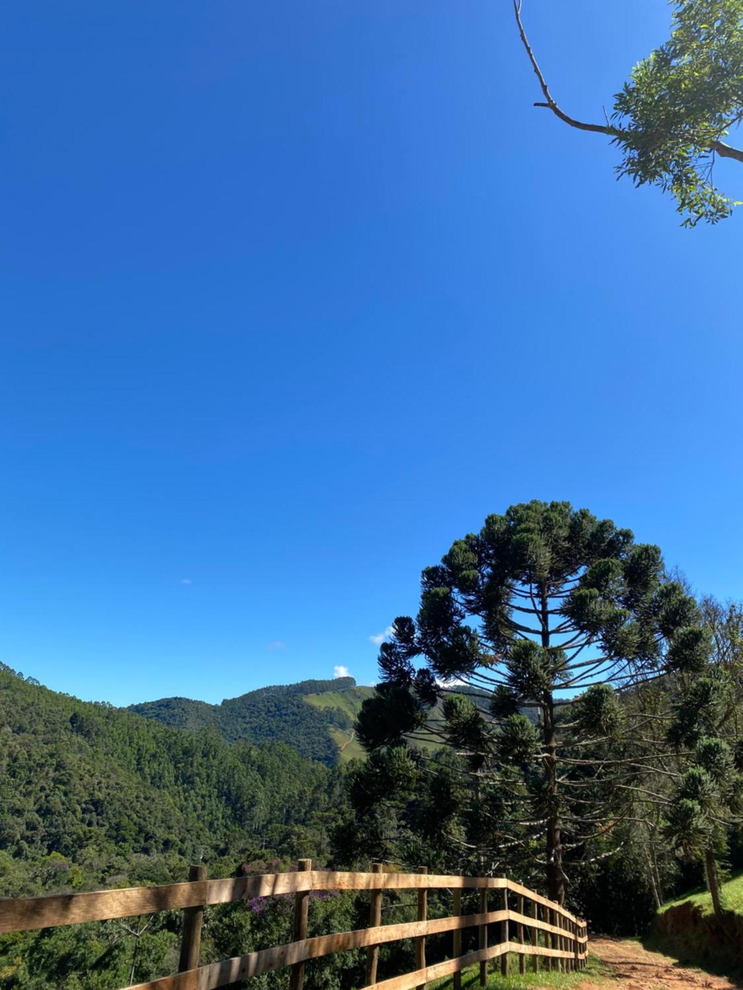 Chales Fazenda Floresta Das Araucarias Cunha Ngoại thất bức ảnh
